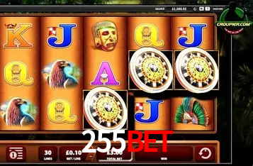 A Experiência Imersiva dos Cassinos Ao Vivo no 255bet